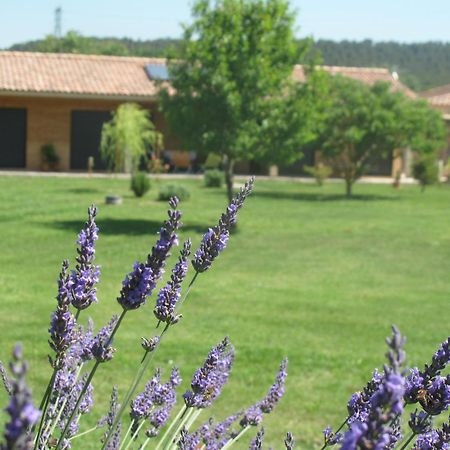 L'Etape Provencale Bed and Breakfast Cabriès Εξωτερικό φωτογραφία